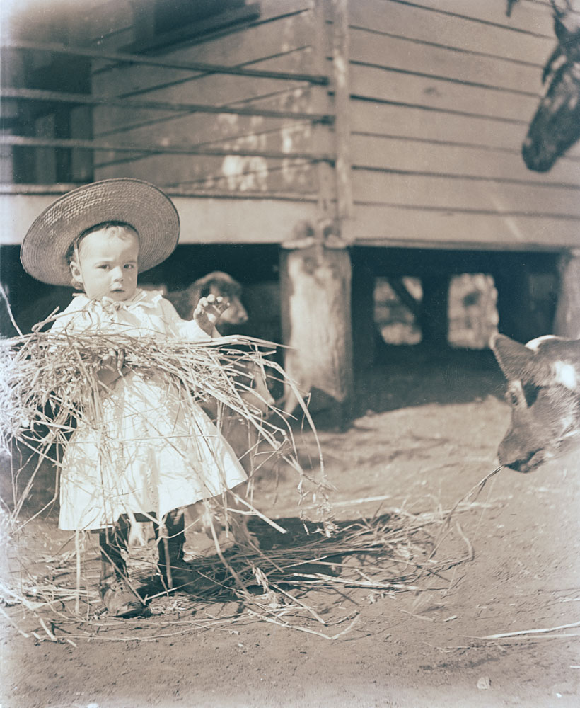 Henry Mervyn (Merv) Jones, with farm animals at his family's home, Oakleigh, Redbank Plains, Ipswich, c.1901