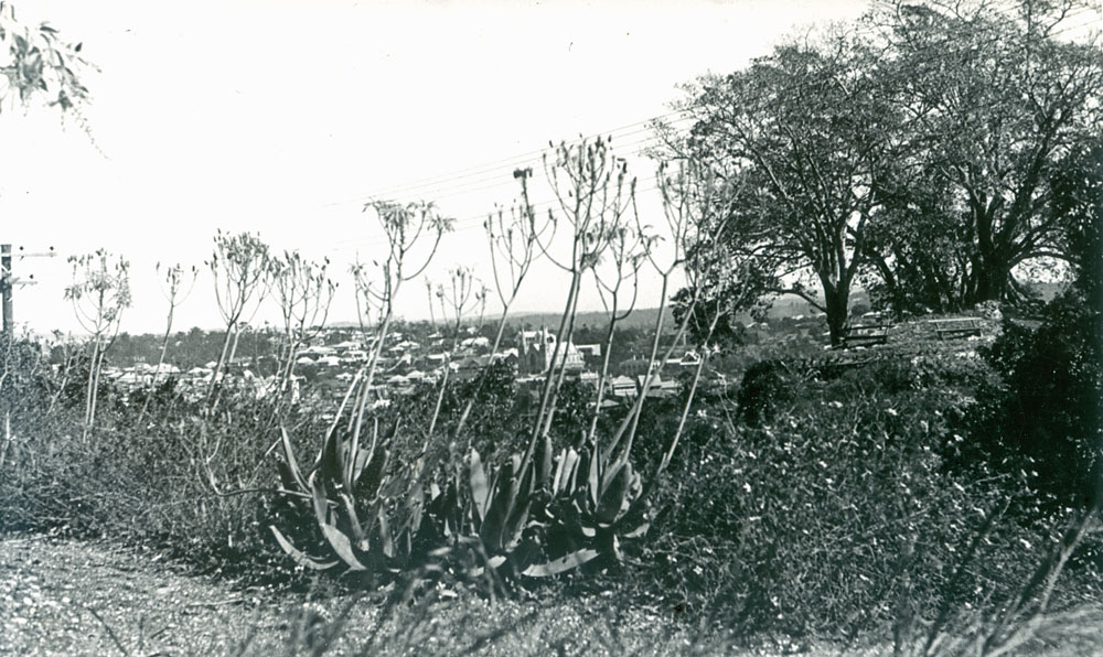 Cunningham's Knoll on Limestone Hill towards St Mary's Catholic Church, 1940s
