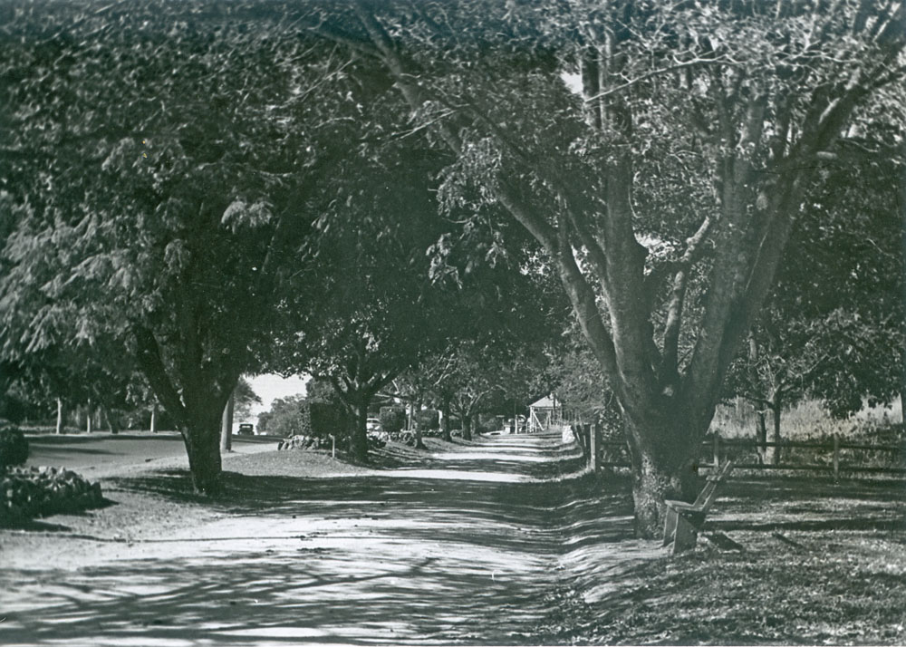 Service road beside Queen Victoria Parade, looking towards Chermside Road, Ipswich, early 1950s