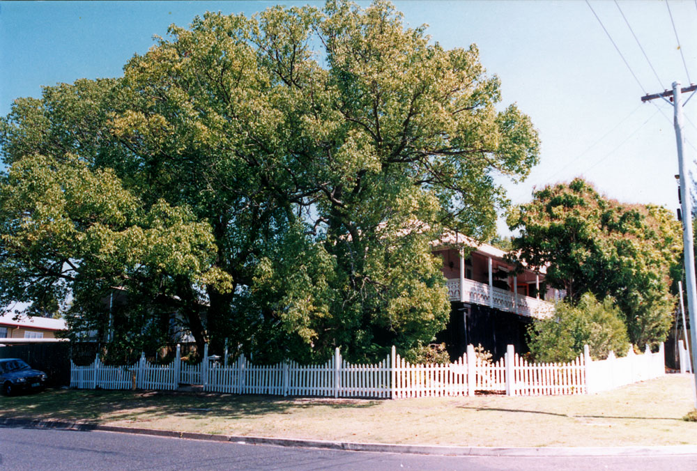 Cyprus Street, No 40, North Ipswich, 1991