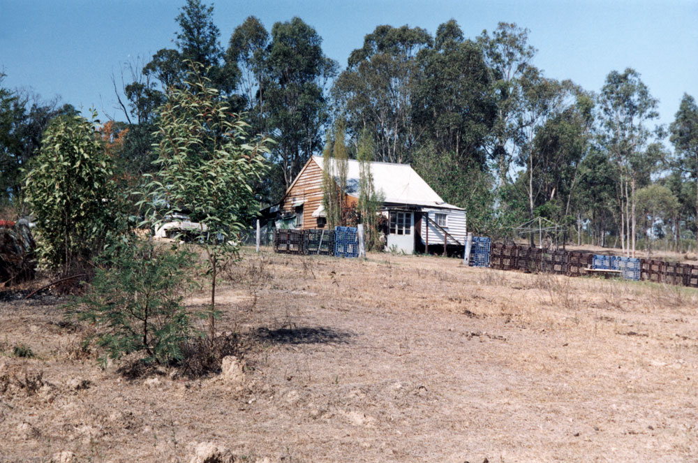 Francis Street, No 84, North Ipswich, 1991