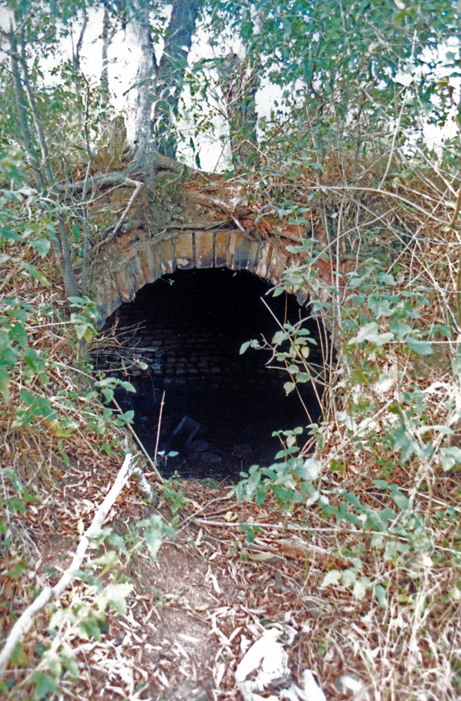 Klondyke Colliery coke oven, North Ipswich, 1991