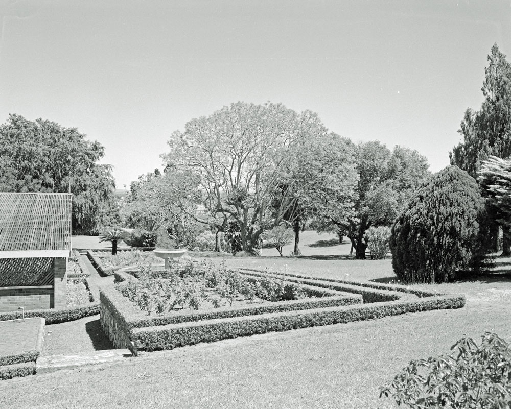 Rose Garden, Queens Park, Ipswich, 1959