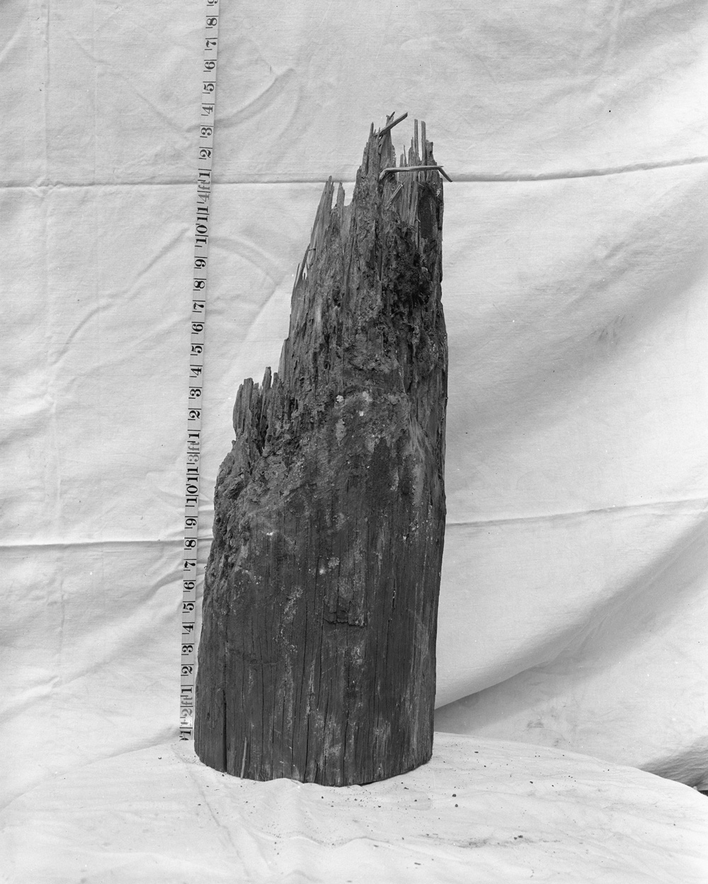 Damaged piece of timber, Southern Electrical Authority of Queensland,  scene of accident photo, Ipswich, 1959