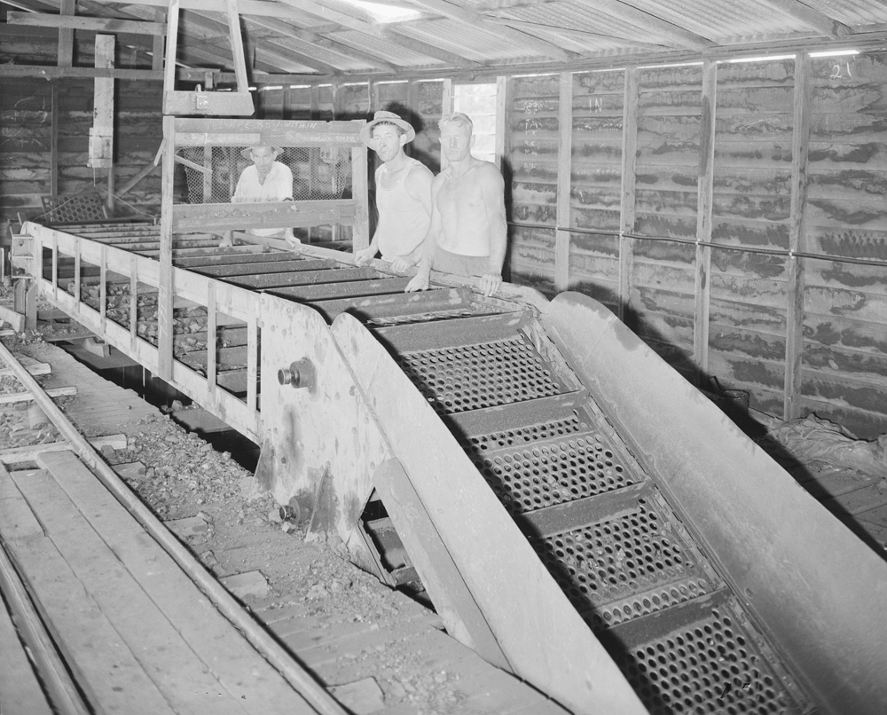Workers at Aberdare No. 8 Colliery mine, Bundamba, Ipswich, 1959