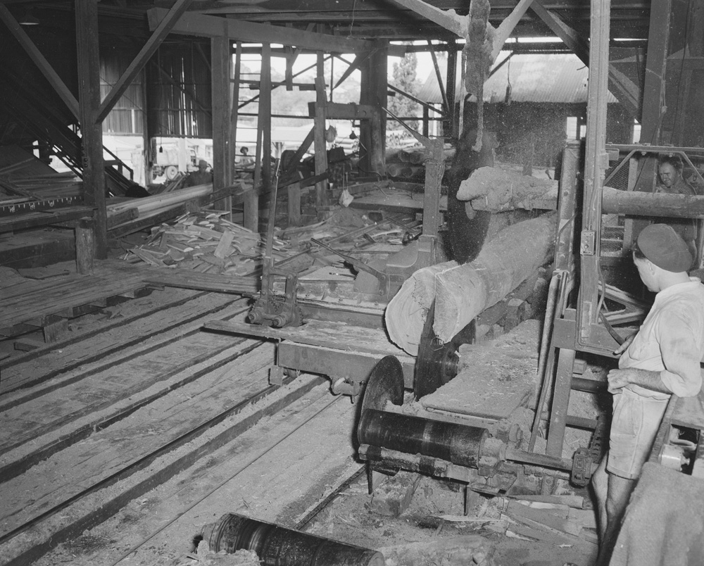 Workers at Kruger Sawmill, Byrne Street, Bundamba, Ipswich, 1959
