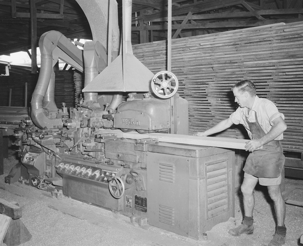 Worker cutting timber at Kruger Sawmill, Byrne Street, Bundamba, Ipswich, 1959