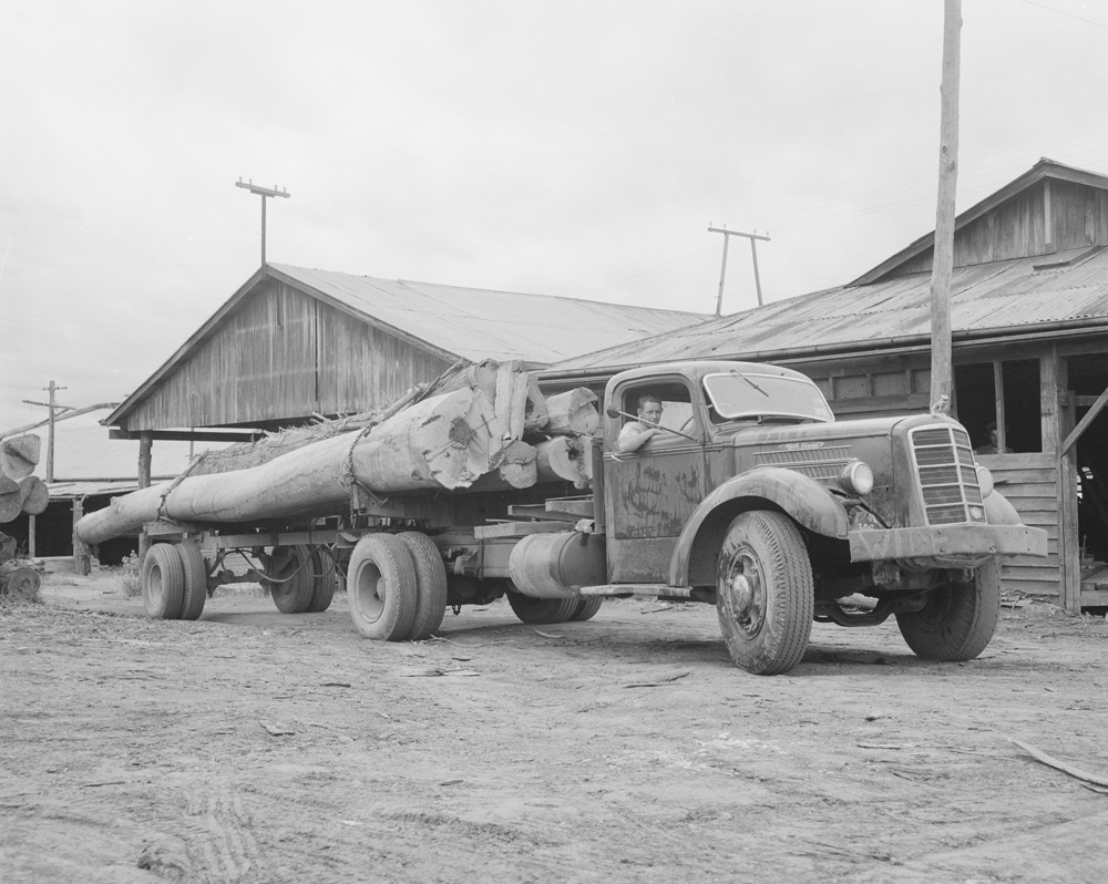 Loaded logging truck at Kruger Sawmill, Byrne Street, Bundamba, Ipswich, 1959