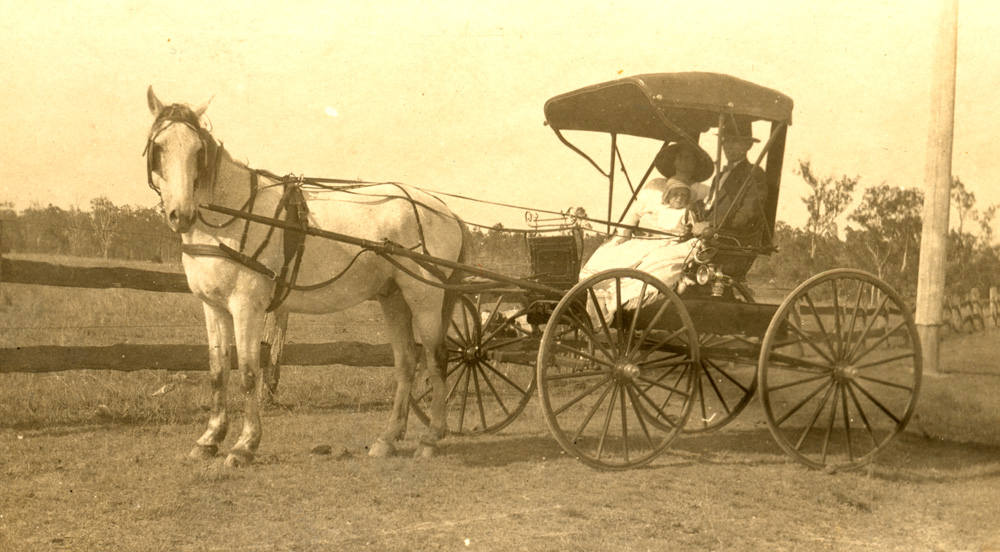 O'Connell family in horsedrawn carriage, Bergin's Hill, Bundamba, Ipswich, 1923