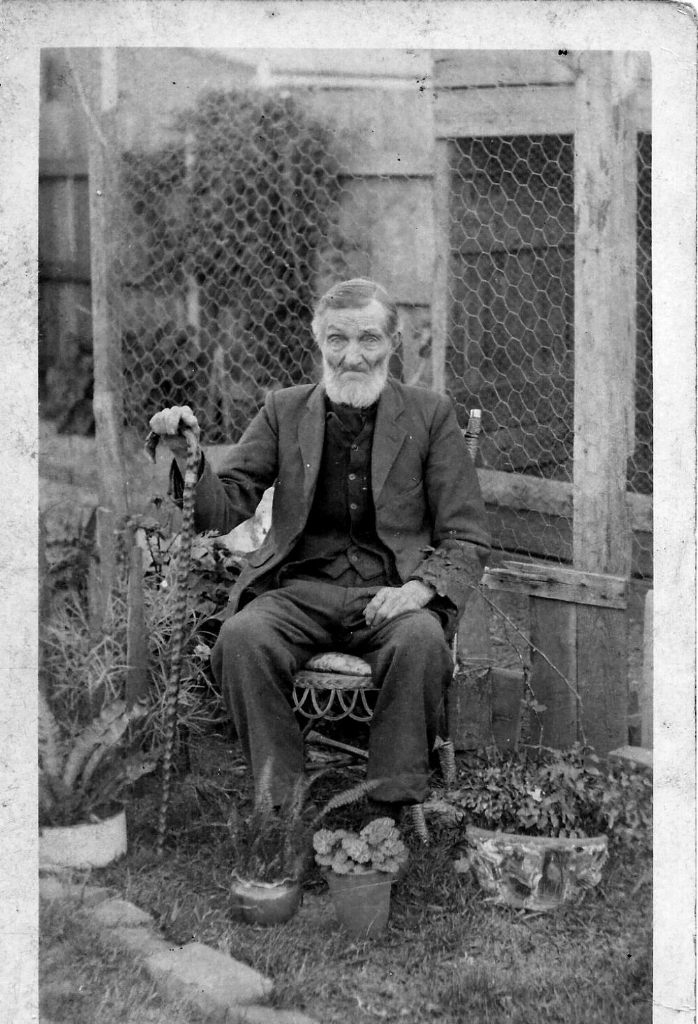 William Henderson, New South Wales, 1913