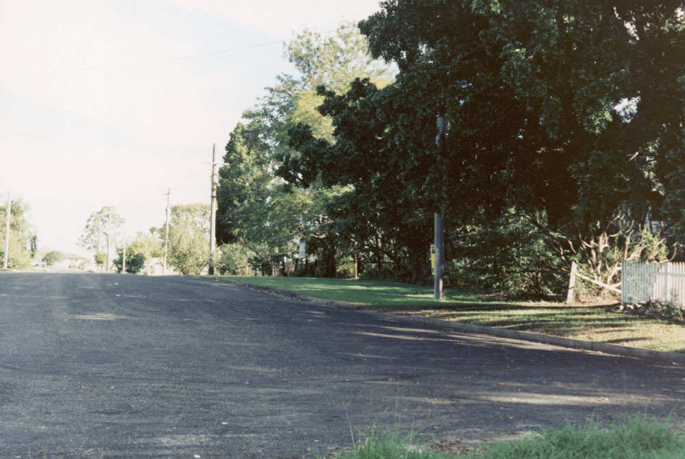 Station Road trees, Riverview, Ipswich, 1991