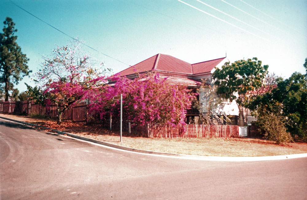 Bougainvillea at 28 Herbert Street, Sadliers Crossing, Ipswich, 1991