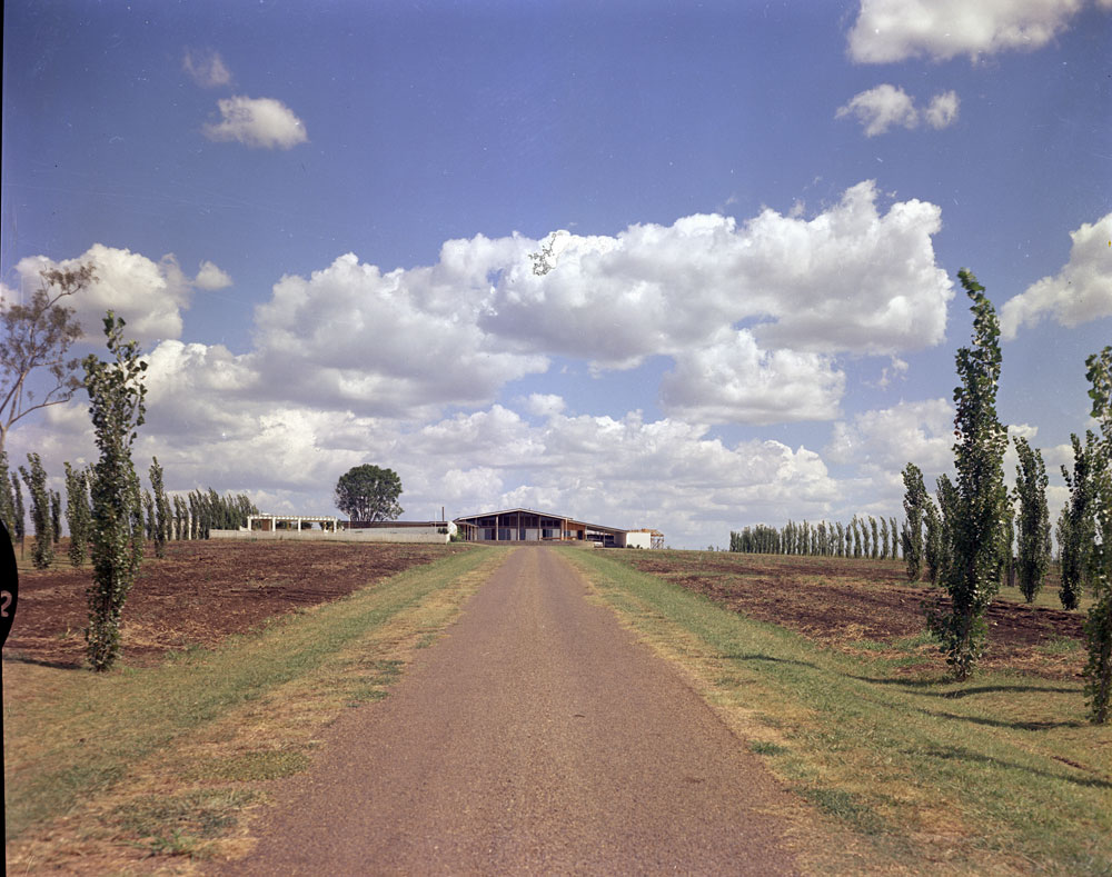 Driveway to residence of John McQueen, Edwards Street, Raceview, Ipswich, 1963