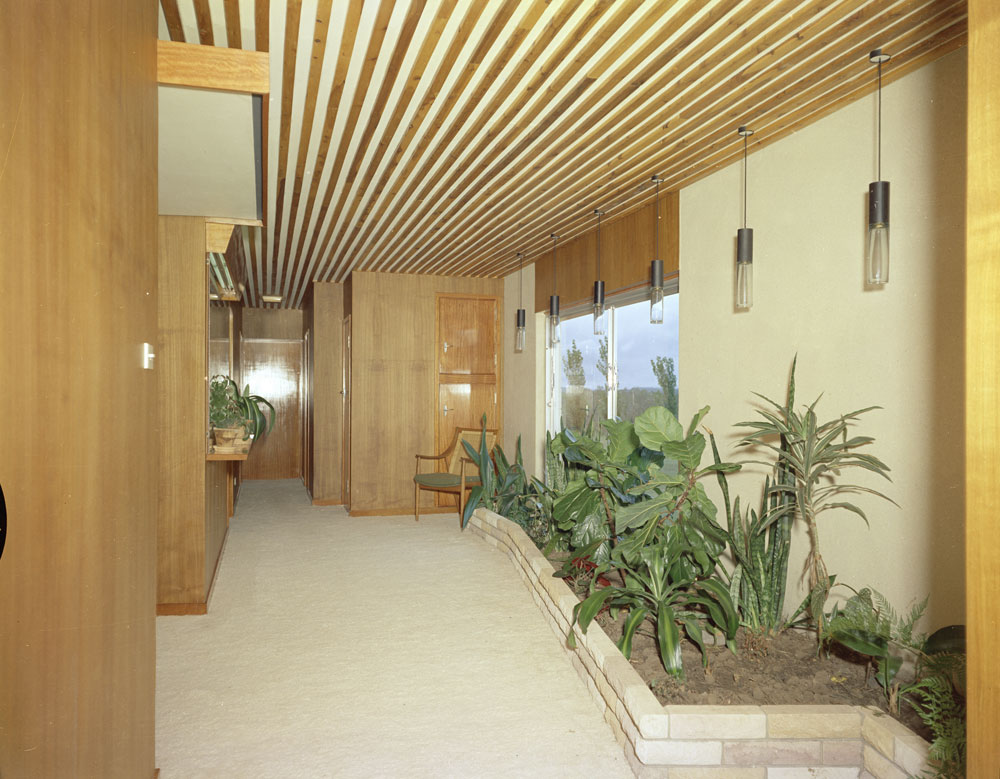 Interior of  John McQueen's residence with indoor garden, Edwards Street,  Raceview, Ipswich, 1963