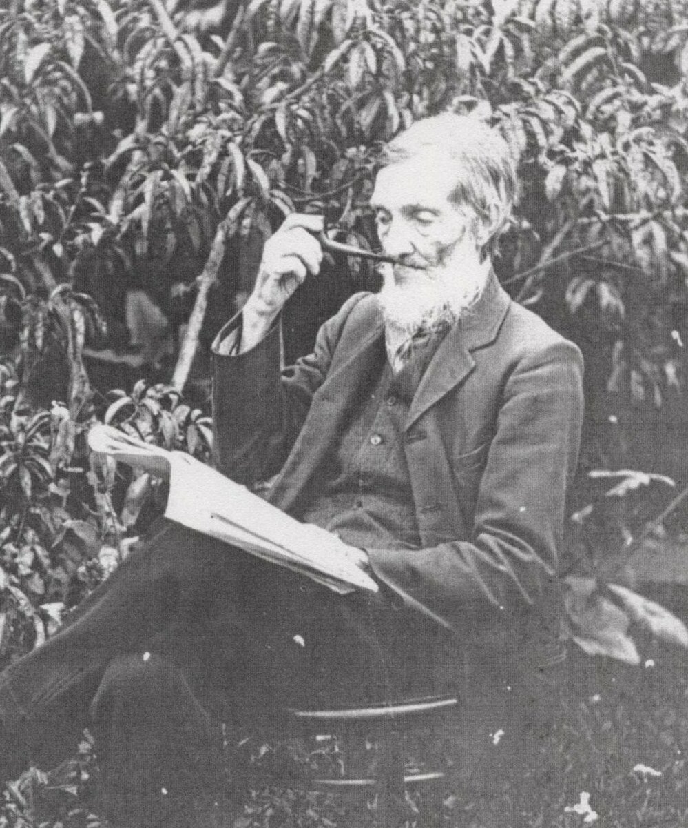 William George Henderson, Newcastle, New South Wales, 1909