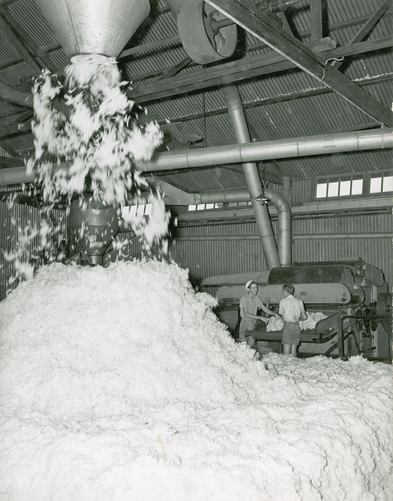 Workers sorting wool at the Ipswich Woollen Mills, Joyce Street, East Ipswich, 1950s