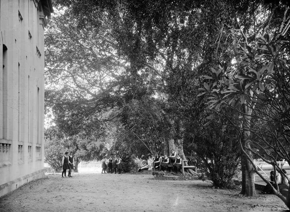 Students from Ipswich Girls' Grammar School, under trees in the school grounds, Ipswich, ca 1925