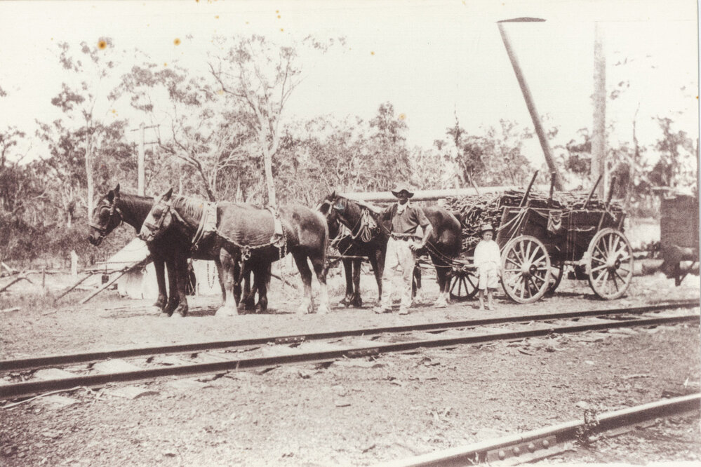 Carl Francis Schmeider loading cane
