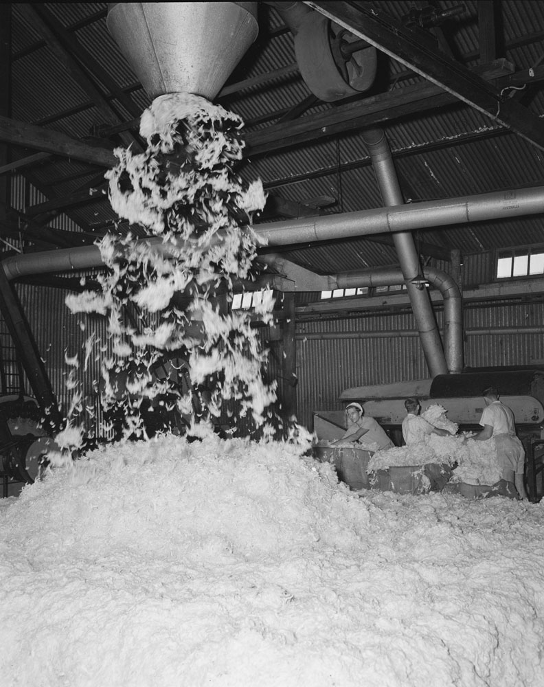 Interior of Ipswich Woollen Company, Joyce Street, East Ipswich, 1956