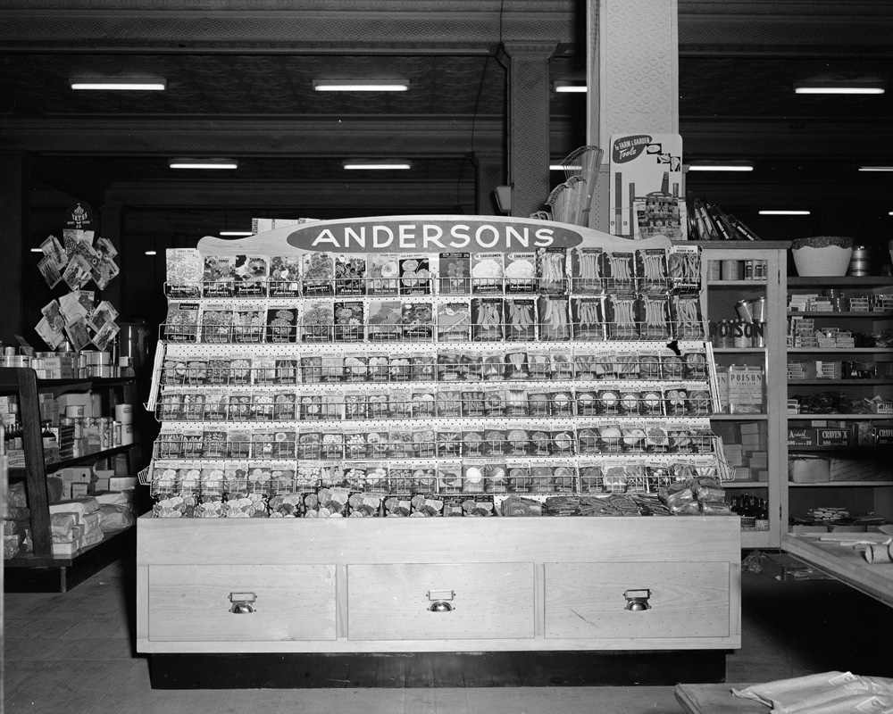 Cribb &amp; Foote Hardware, Andersons seed packet display, Bell Street, Ipswich, 1958