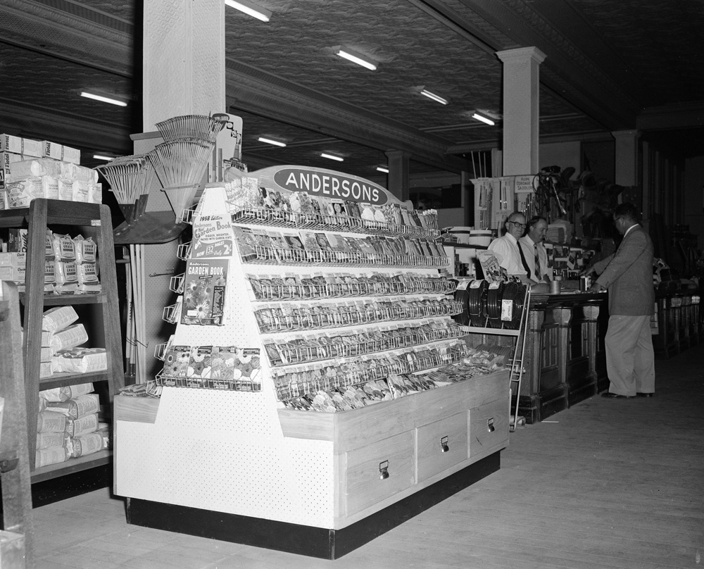 Staff at Cribb and Foote Hardware, Andersons seed packet display, Bell Street, Ipswich, 1958