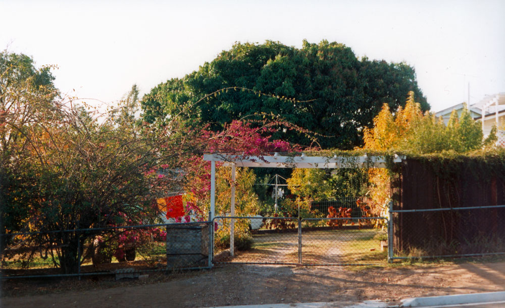 Bougainvillea in garden of home at 29 Macrea Street, Coalfalls, Ipswich, 1991
