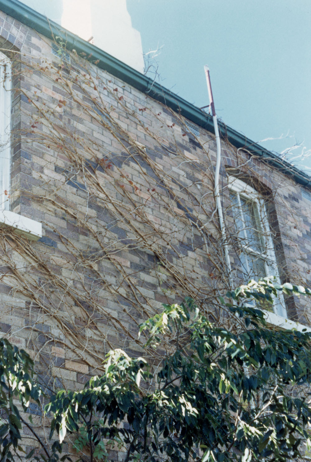 Caledonian Hotel brickwork, 9 Bell Street, Ipswich, 1991