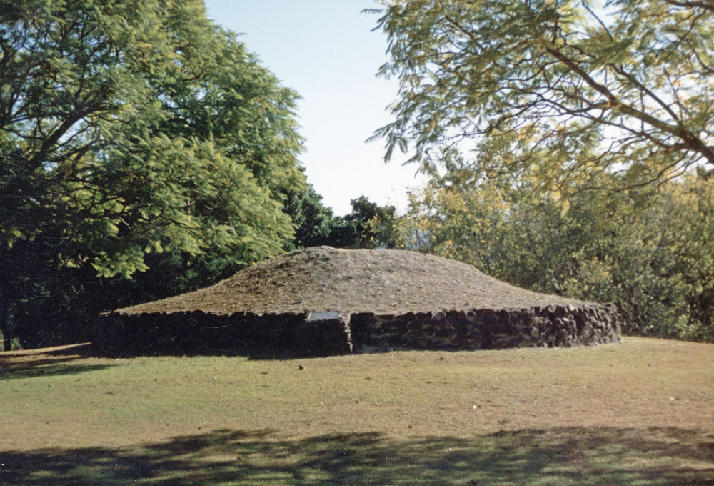 Hummock on Cunninghams Hill, Ipswich, 1992