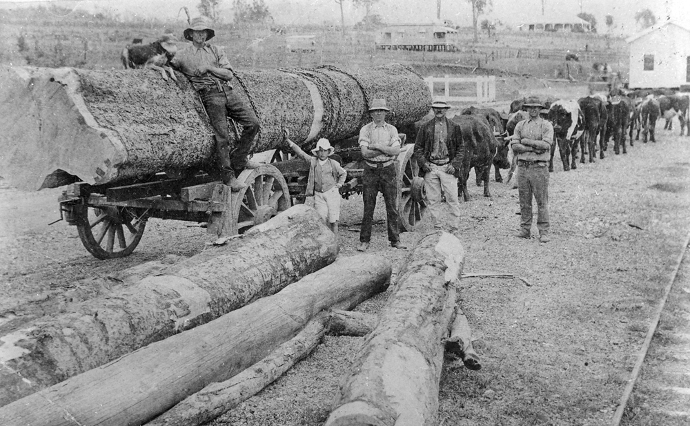 Loading timber at the Marburg railway yards, Marburg, Ipswich, 1918