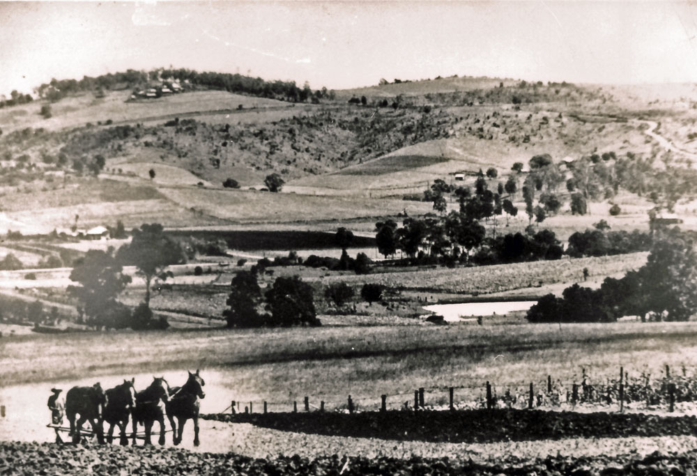 Ploughing at Gerber's farm, Marburg, Ipswich 1930s