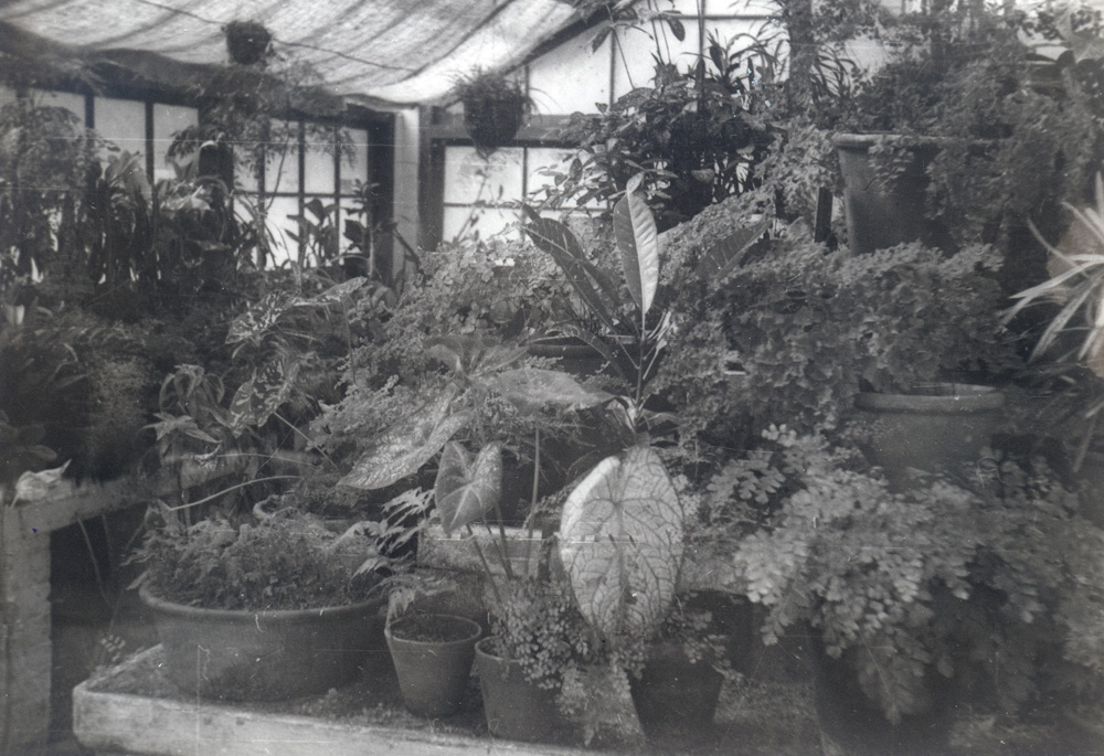 Queens Park, Glass House, Ipswich, 1945