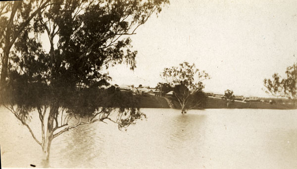 Bremer River in flood, looking towards Woodend entrance to bridge, Ipswich, 1931