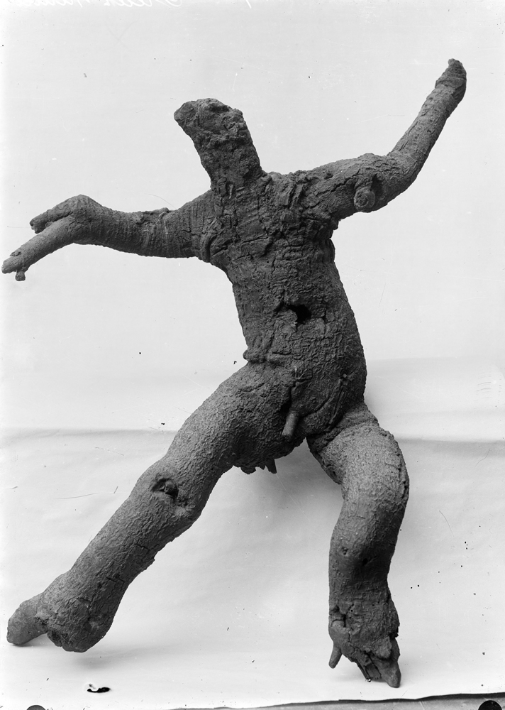 Freak of Nature - Front View, 1898