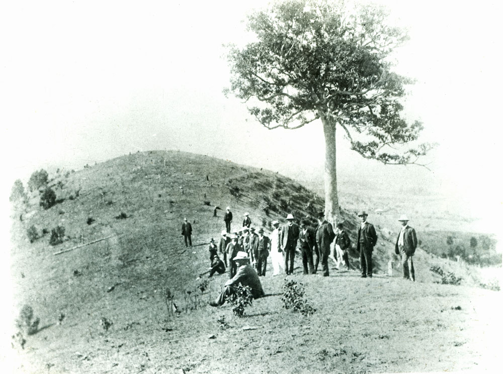 Two Tree Hill, Tallegalla, Ipswich, c.1900