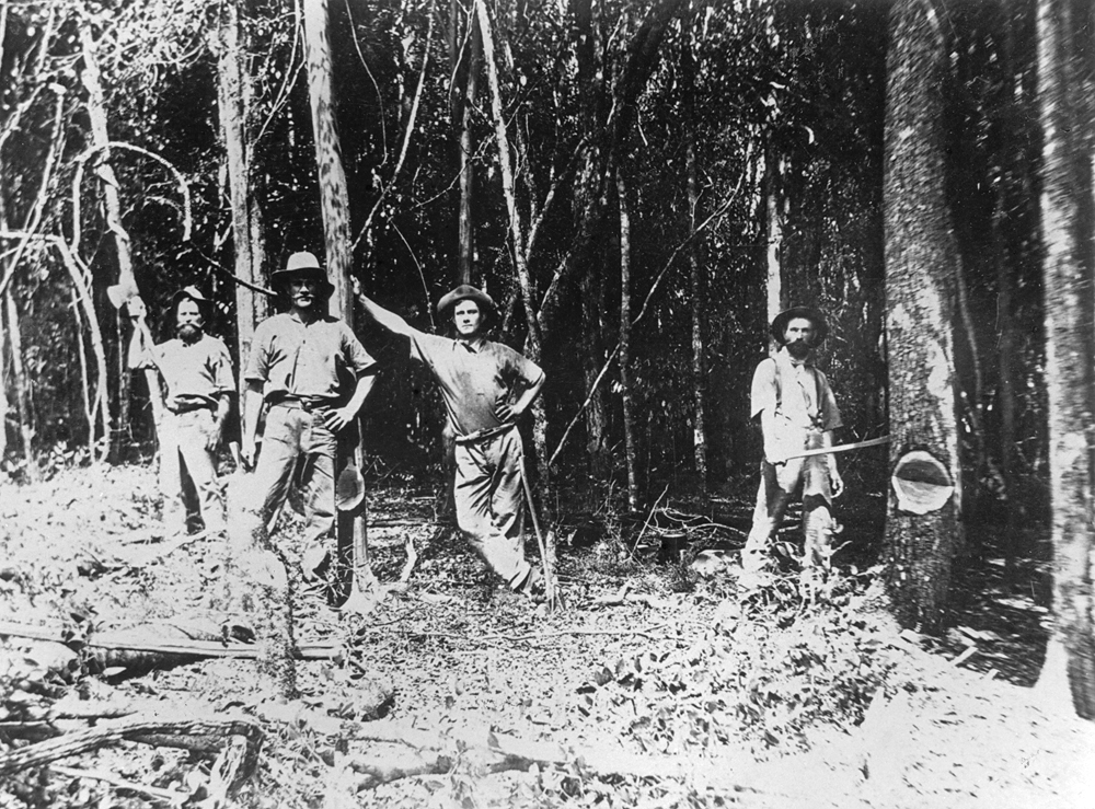 Clearing Rosewood Scrub, Ipswich, 1880s