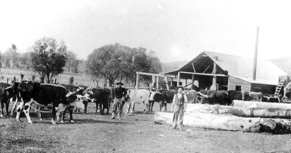First sawmill in Rosewood, Ipswich, c.1895