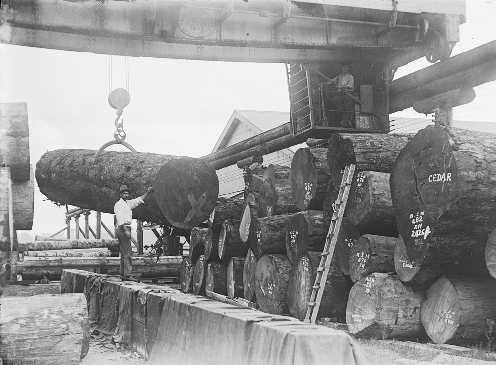 Timber storage near Prescott Mill at the Ipswich Railway Workshops, North Ipswich, c. 1911