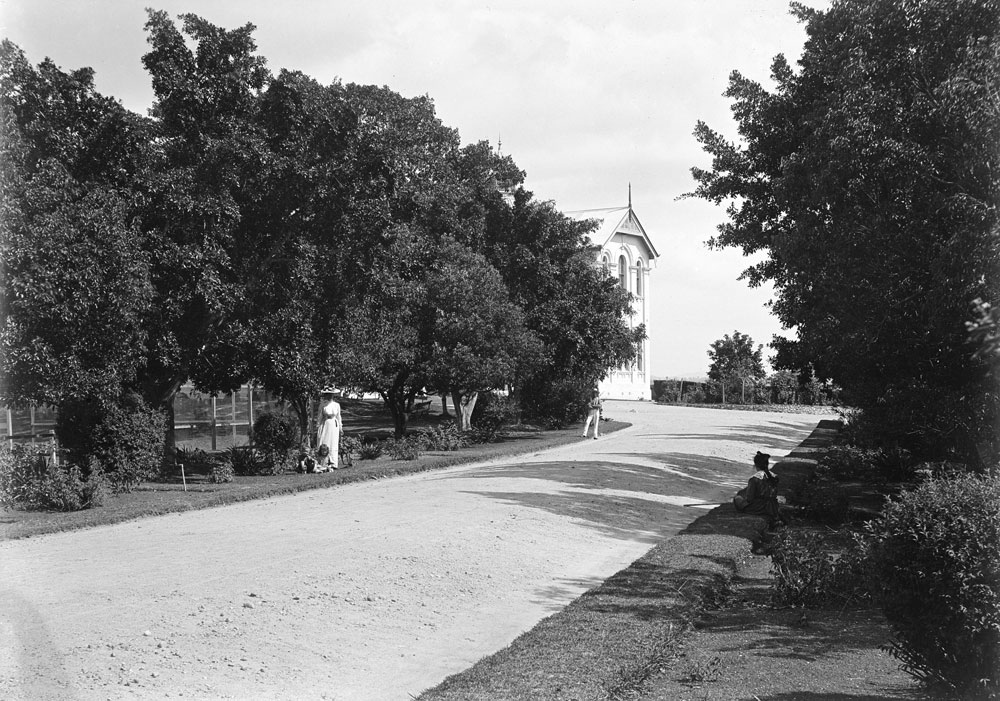 Ipswich Girls' Grammar School main driveway, Ipswich,  c.1905