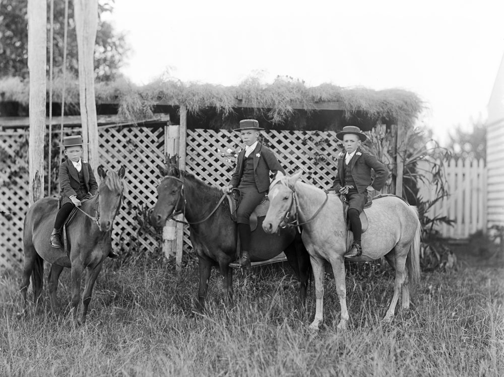 Three boys on horseback, Ipswich, c.1898