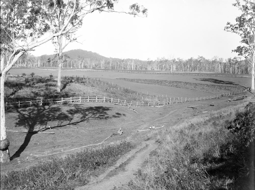 Country scene, with children on log, unknown location, possibly outside Ipswich, early 1900s