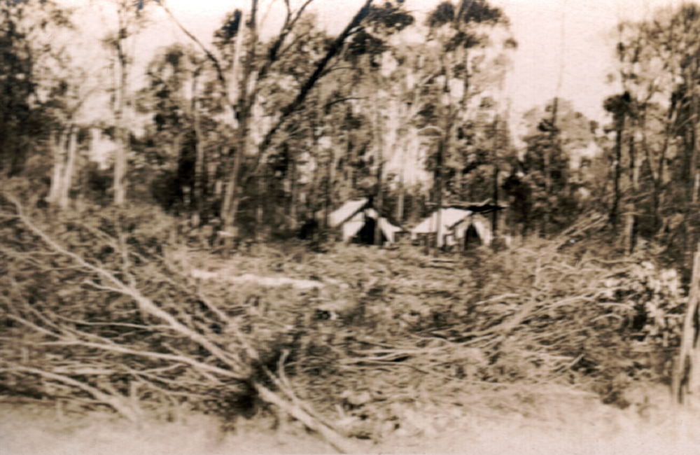 Tents used as accommodation by men employed as part of the 'Work for the Dole' scheme, during the depression, Dead Adder Gully, Chinchilla, 1932