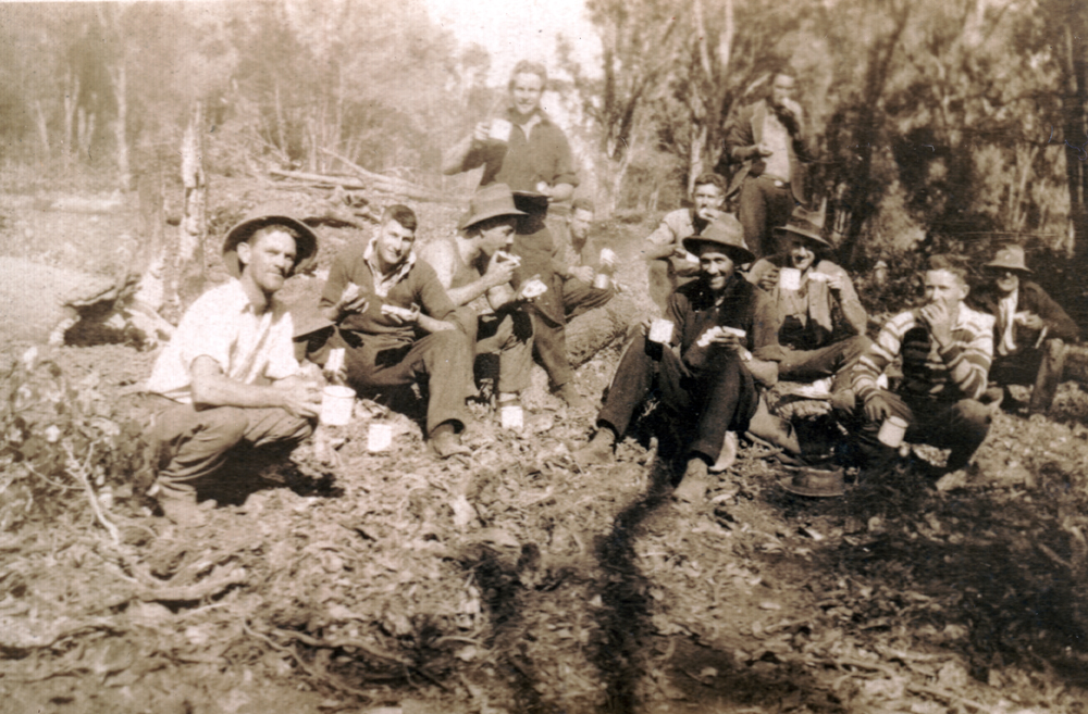 Group of men eating, during land clearing for the 'Work for the Dole' scheme, Chinchilla, 1932