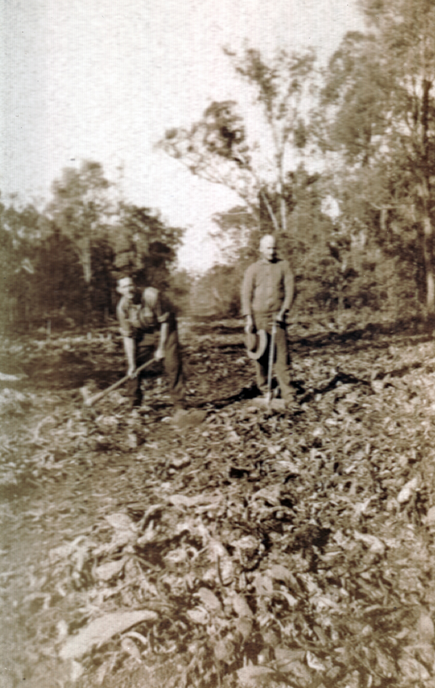 Two men land clearing for the 'Work for the Dole' scheme, Chinchilla, 1932