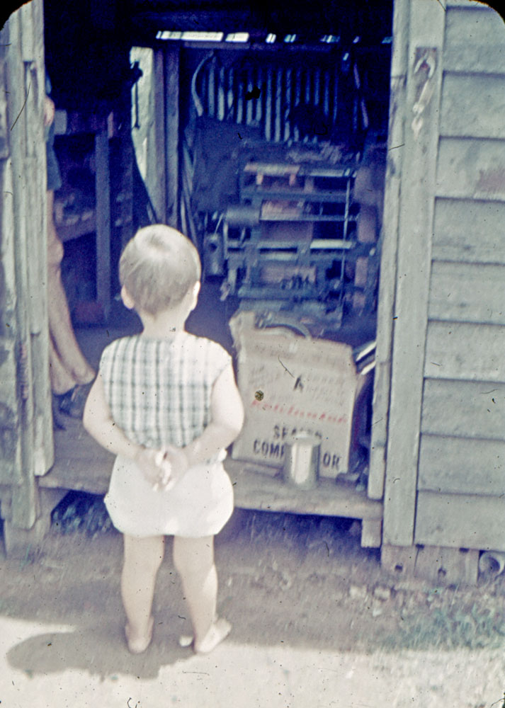 Young child looking into backyard shed at home in Alice Street, Blackstone, Ipswich, 1971