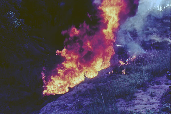 Fire on part of the Moonie Natural Gas pipeline, Ipswich, 1980s