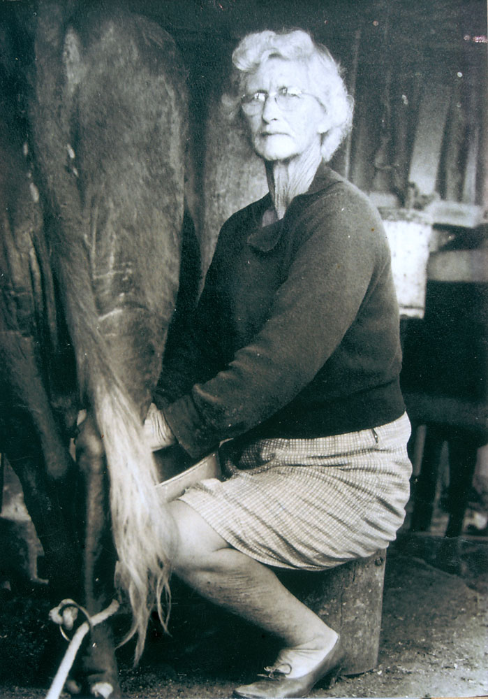 Ada Jane Russell milking a cow at Pine Mountain, Ipswich, n.d.