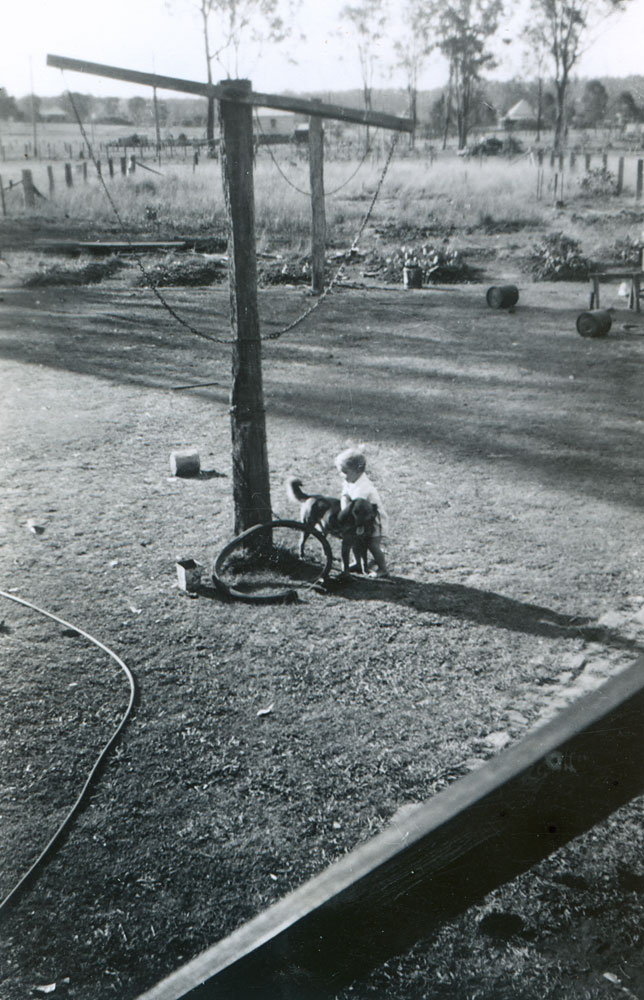 Young child playing with dog in backyard of home at 42 Sydney Street, Brassall, Ipswich, late 1940s