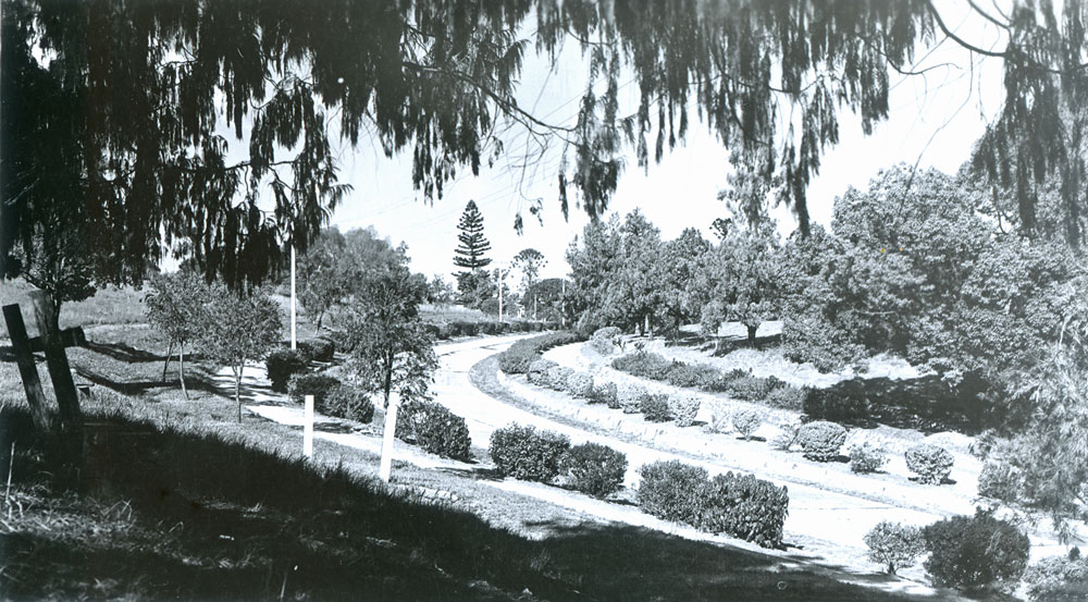 View of Queens Park, Ipswich, 1950s