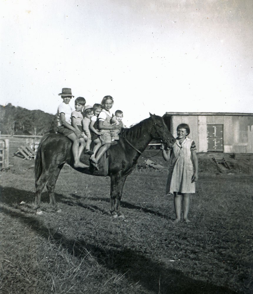 Unidentified children on a horse in the Rosewood Marburg, Ipswich area, 1952