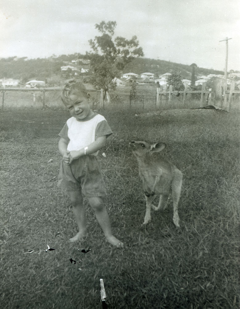Young child with kangaroo in backyard of house at 42 Sydney Street, Brassall, Ipswich, 1957